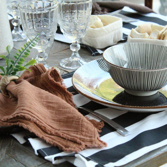 Set 4 Individuales antimanchas rayas negro y blanco