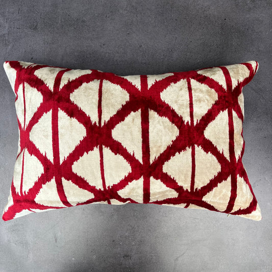 Funda Cojín terciopelo rectangular 018